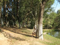 /album/galeria-de-fotos/bosque%20%2c%20outro%20%c3%a2ngulo-jpg/